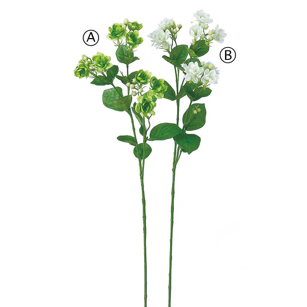 ジャスミン　5ml Adidas ZX 8000 “Frozen Lemonade” - Product Code: H68010