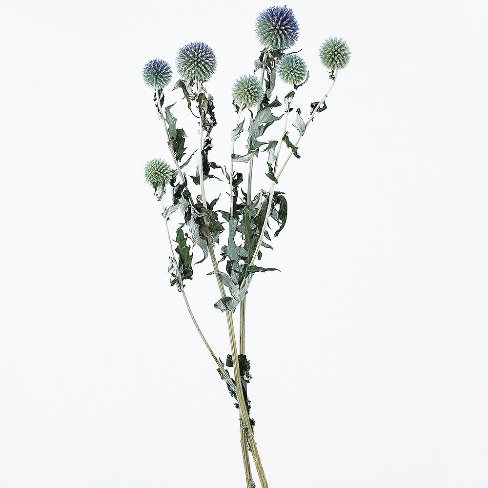 ���̥�����N��DRO10280-000�ڥɥ饤�ե���