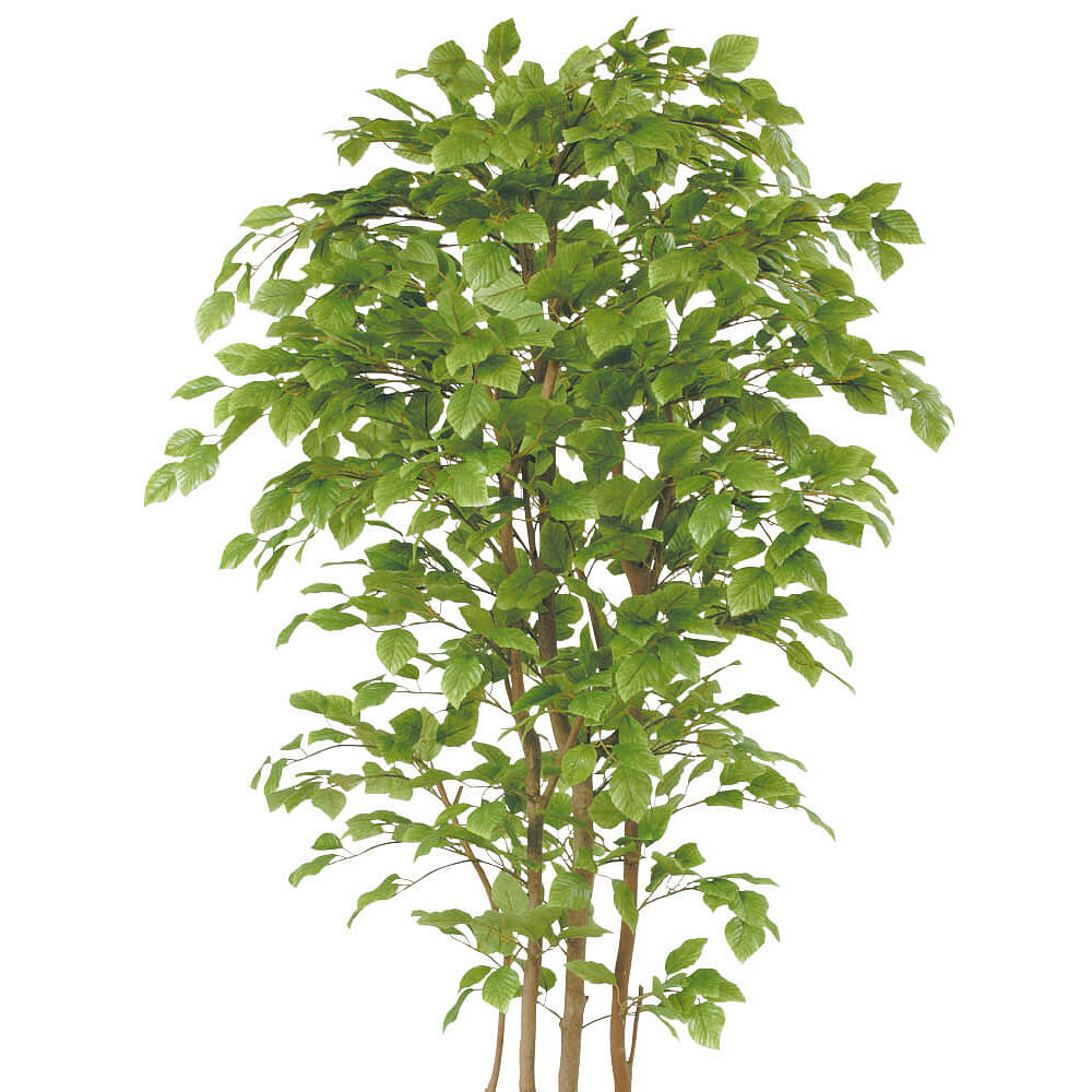 �֥ʡ�H2100�ڥ����ƥ��ե�������