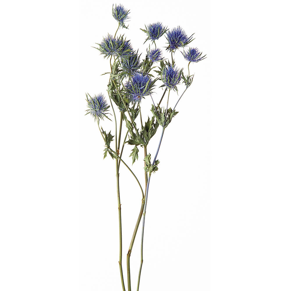 ����󥸥塼�ࡦ�ɥ饤��N��DRO10340-000�ڥɥ饤�ե���