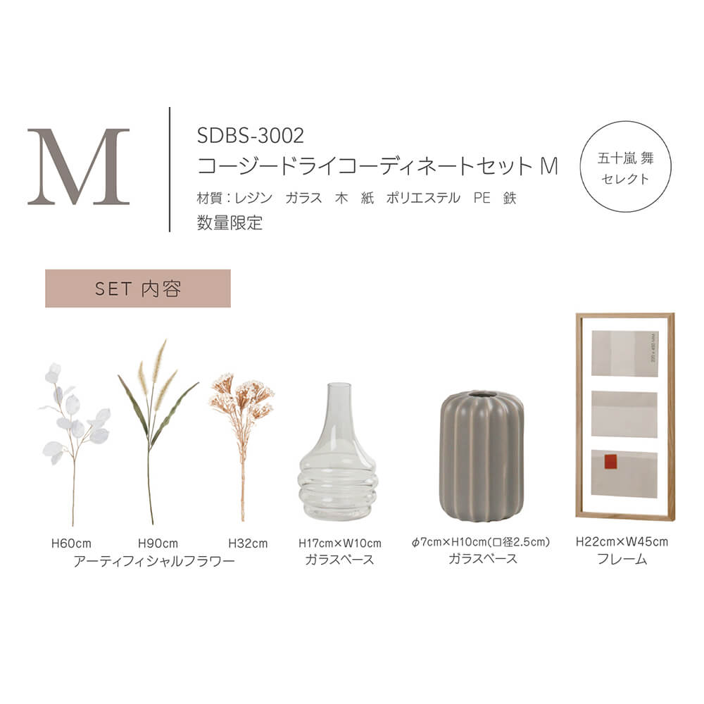 ���������ɥ饤�����ǥ��͡��ȥ��å�M��SDBS-3002�ڥ����ǥ��͡��ȥ��åȡ�