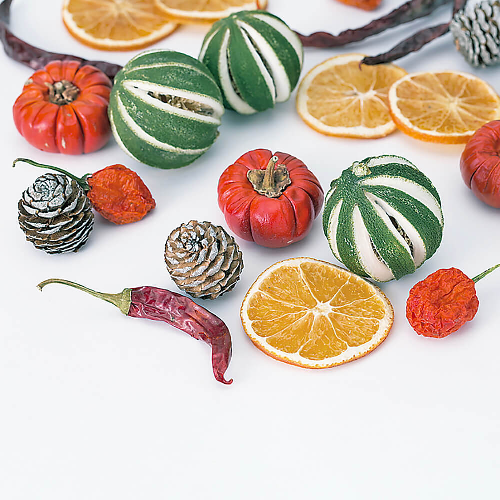 �ߥå����ݥץ�N��DRO21390-000�ڥɥ饤�ե���