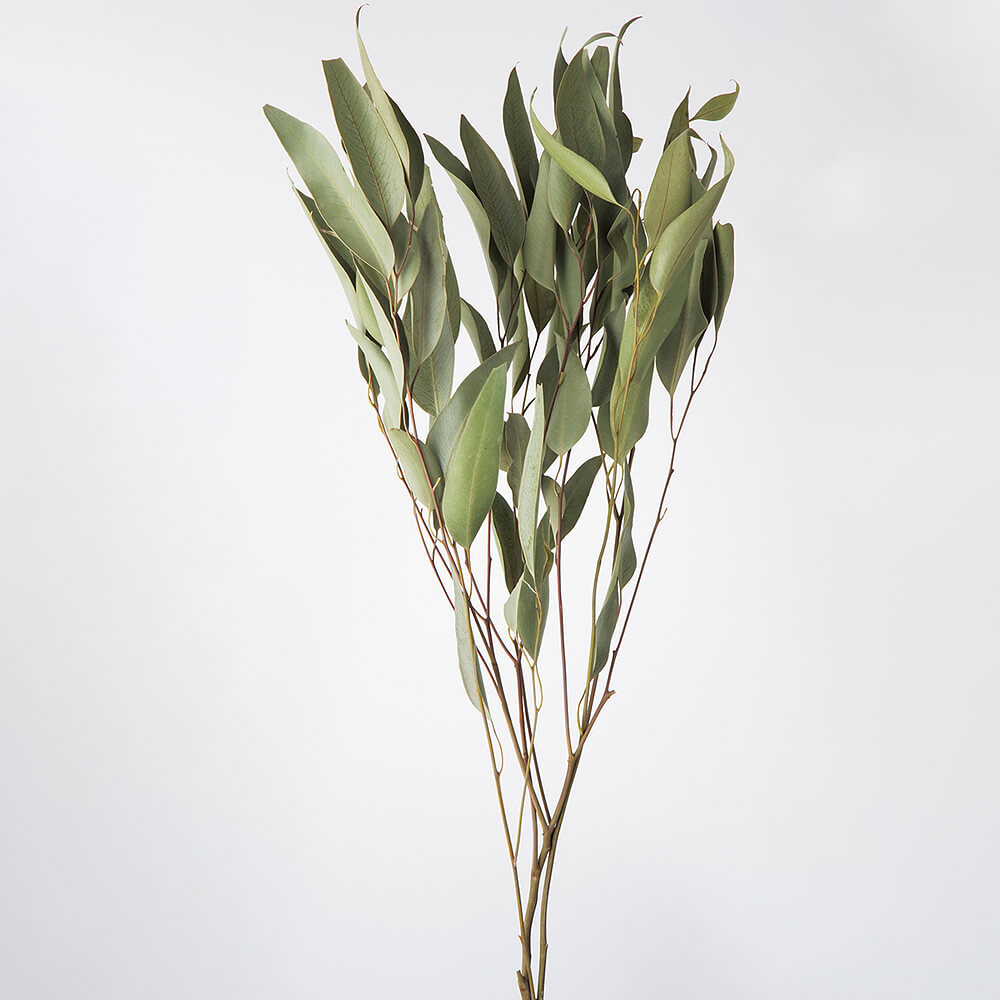 ���������桼����NG��DRO16100-020�ڥɥ饤�ե���