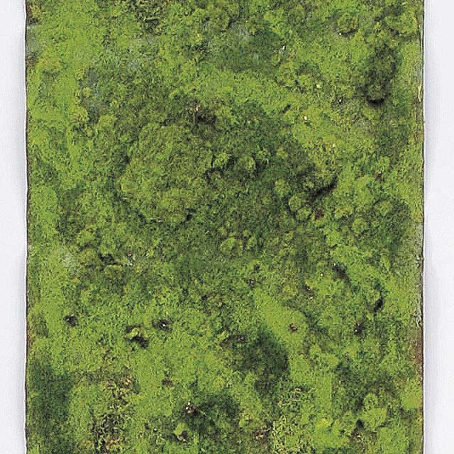 �⥹�����ȡʥ��󥰡ˡ����꡼��A-15169��¤�֡�