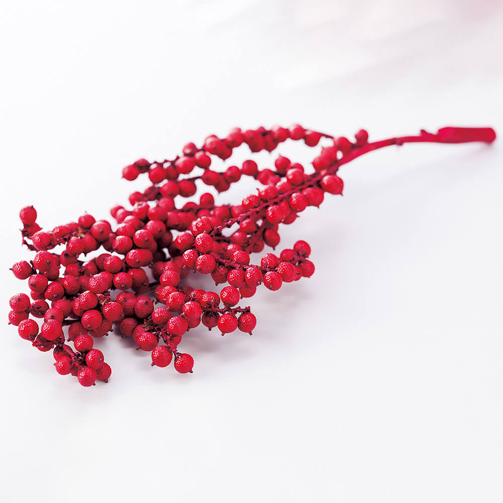 ���ͥ� ��åɡ�DRO22071-300�ڥɥ饤�ե���