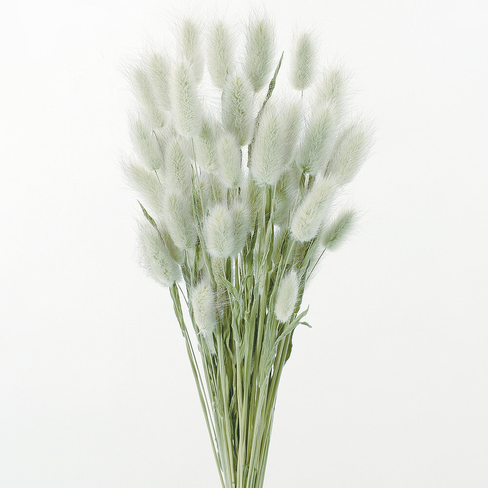 �饰�饹NG��DRO42050N-020�ڥɥ饤�ե���