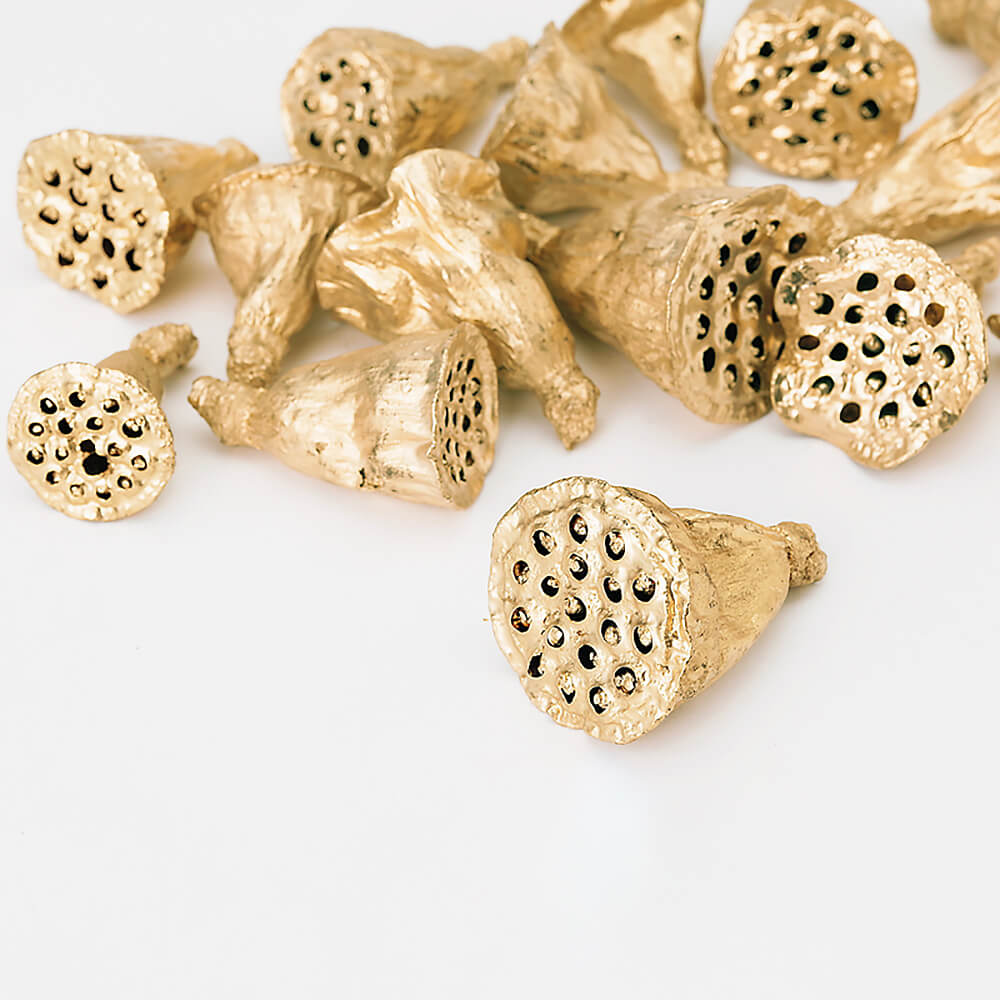 �ߥ˥ϥ����硦������ɡ�DRO22411-902�ڥɥ饤�ե���