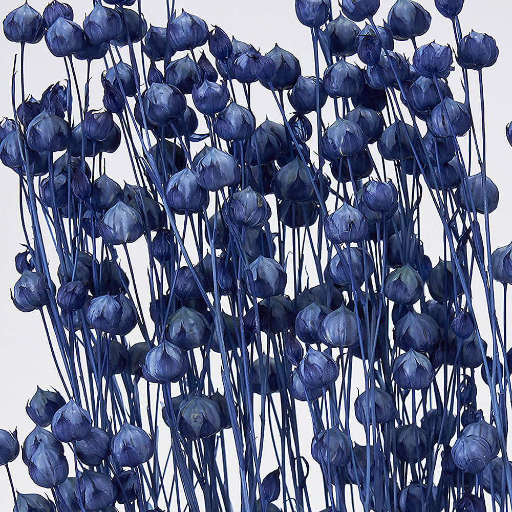 リンフラワー コバルトブルー DO035010-681【ドライフラワー】通販