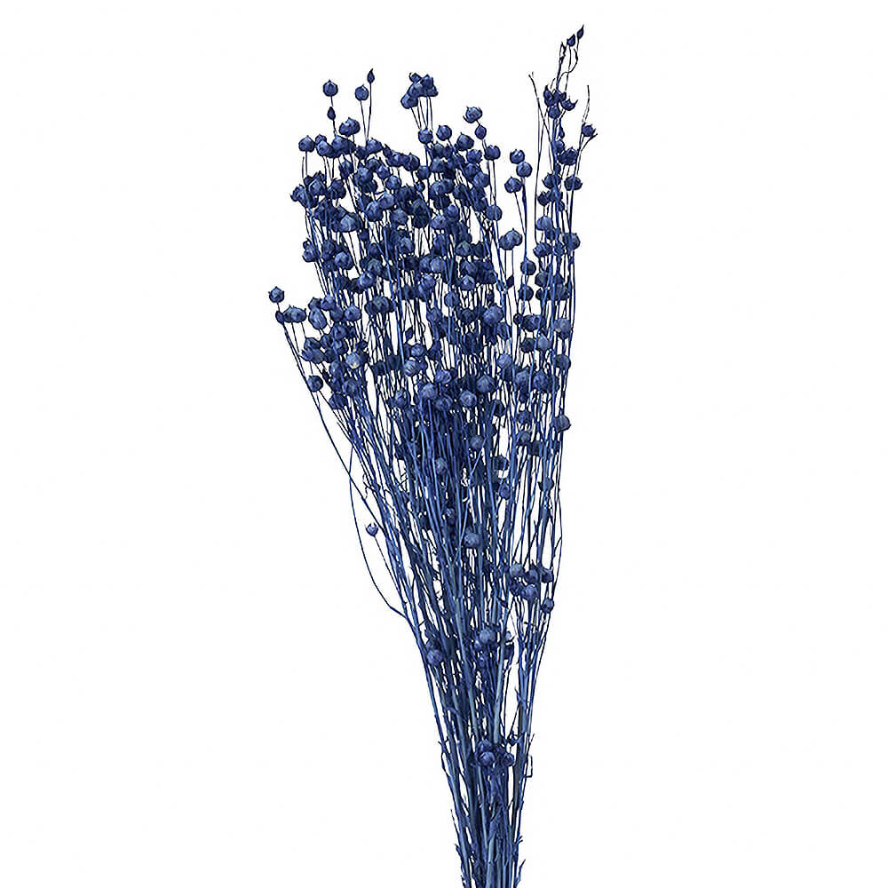 リンフラワー コバルトブルー DO035010-681【ドライフラワー】通販
