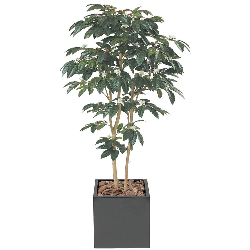 �����ҡ���H1800�ڥ����ƥ��ե�������