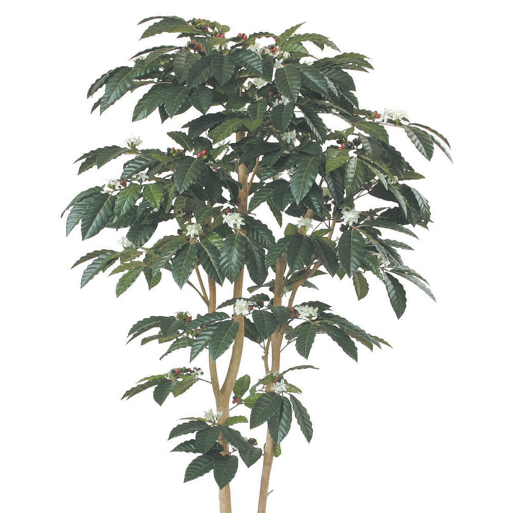 �����ҡ���H2100�ڥ����ƥ��ե�������