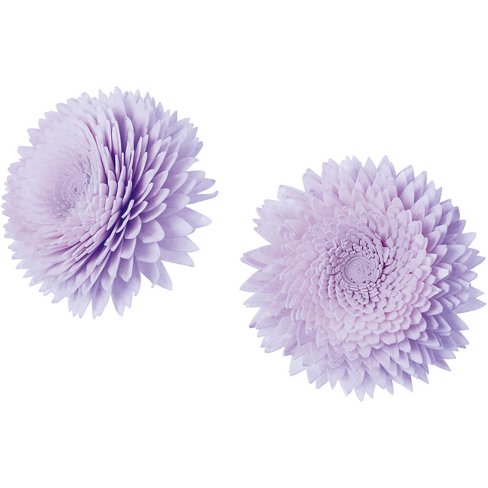 ����ѡ��ĥ��˥�L ��饵��2P��MCY-0547�ڥɥ饤�ե���