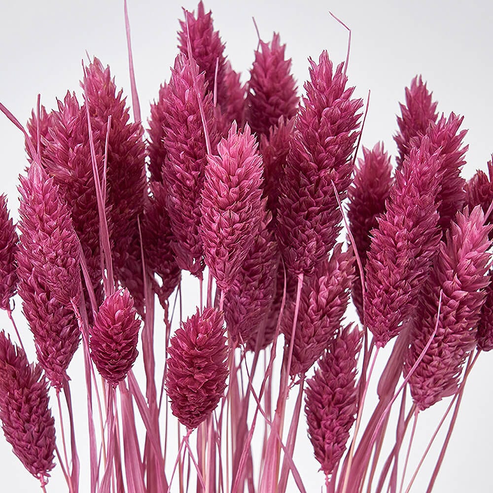 �ݥ��ץ��ġ���������DT076128�ڥɥ饤�ե���