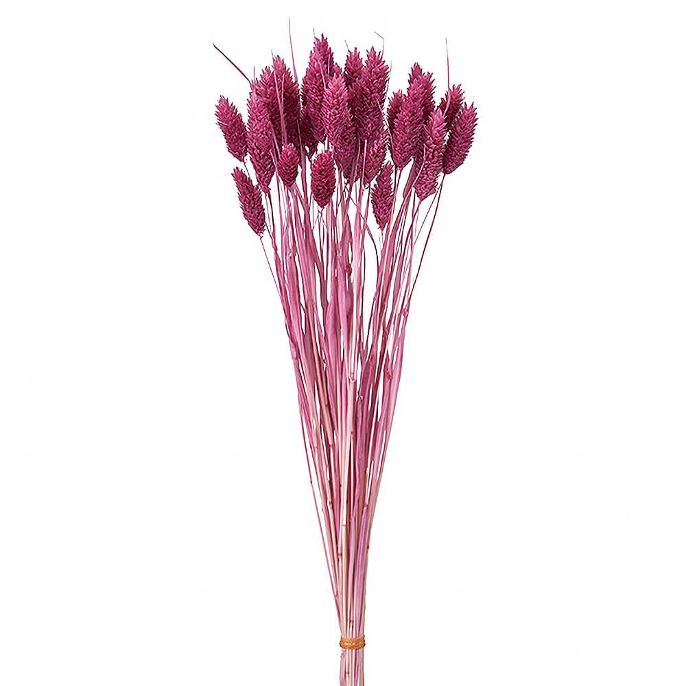 �ݥ��ץ��ġ���������DT076128�ڥɥ饤�ե���