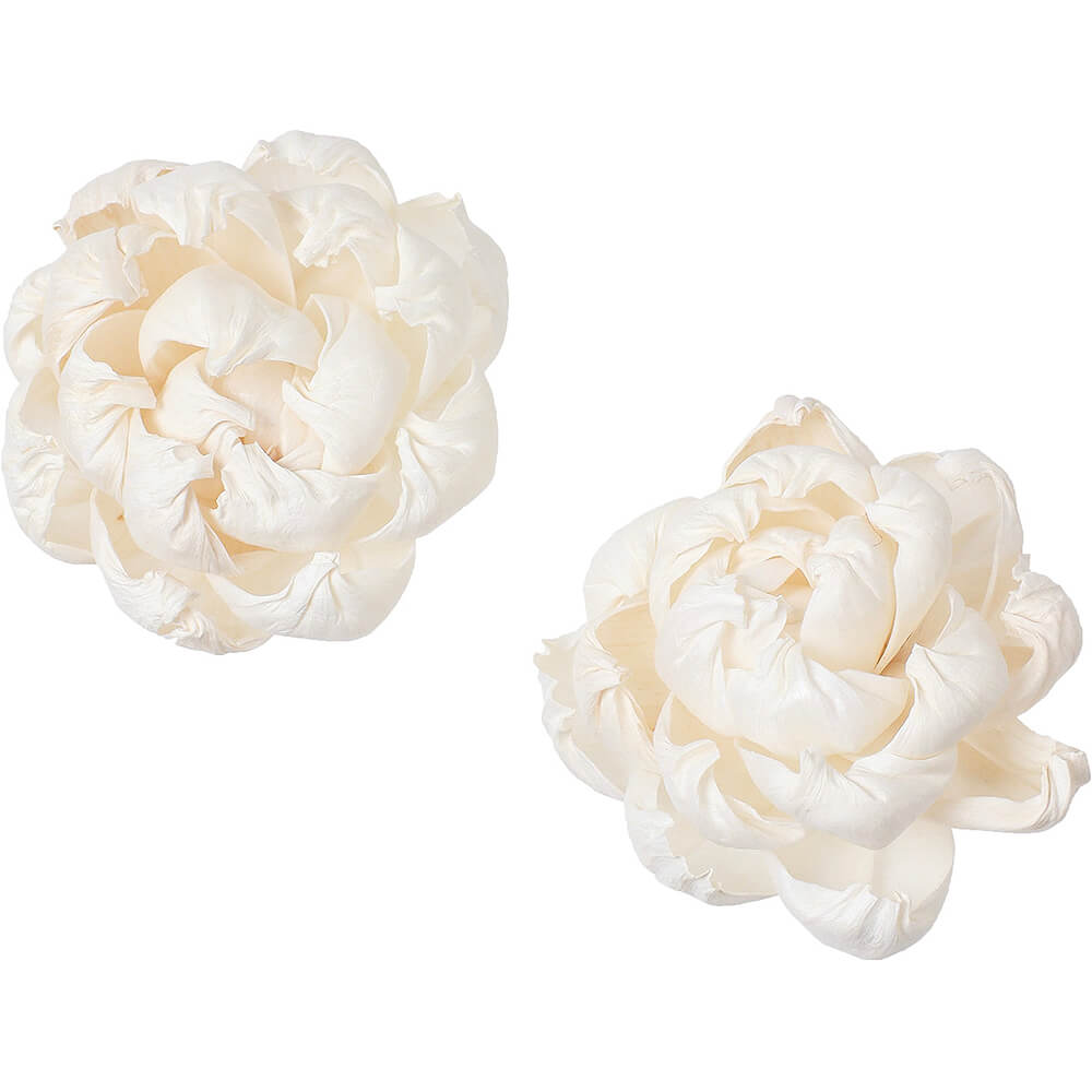 ����ѡ��ĥܥ��� �९2P��MCY-0551�ڥɥ饤�ե���