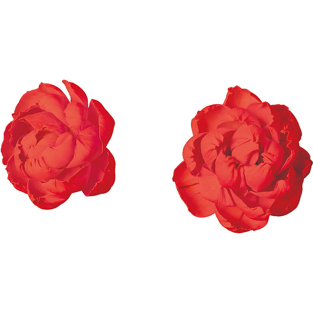 ����ѡ��ĥܥ��� ����2P��MCY-0552�ڥɥ饤�ե���