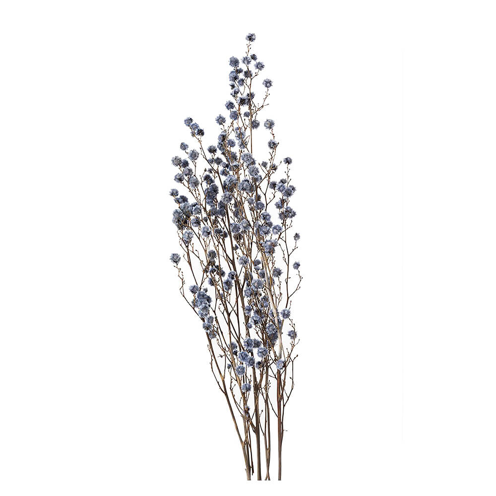 スターリンジャー ウォーターブルー DO040400-691【ドライフラワー