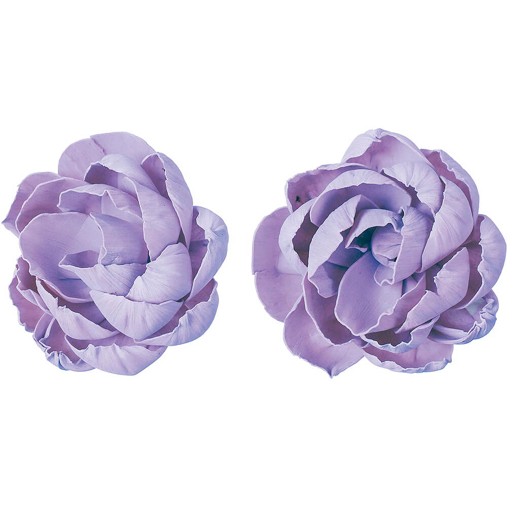 ����ѡ��ĥܥ��� ��饵��2P��MCY-0554�ڥɥ饤�ե���