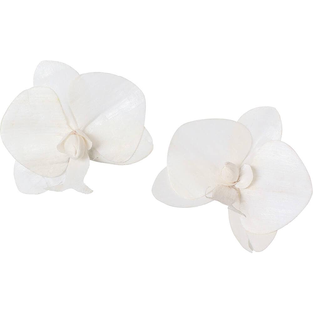 ����ѡ��ĥ����祦��� �९2P��MCY-0555�ڥɥ饤�ե���