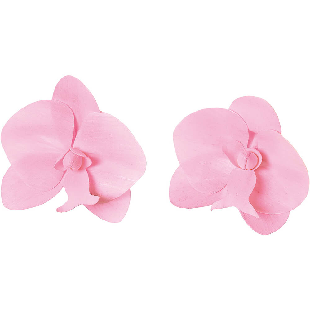 ����ѡ��ĥ����祦��� ���2P��MCY-0556�ڥɥ饤�ե���