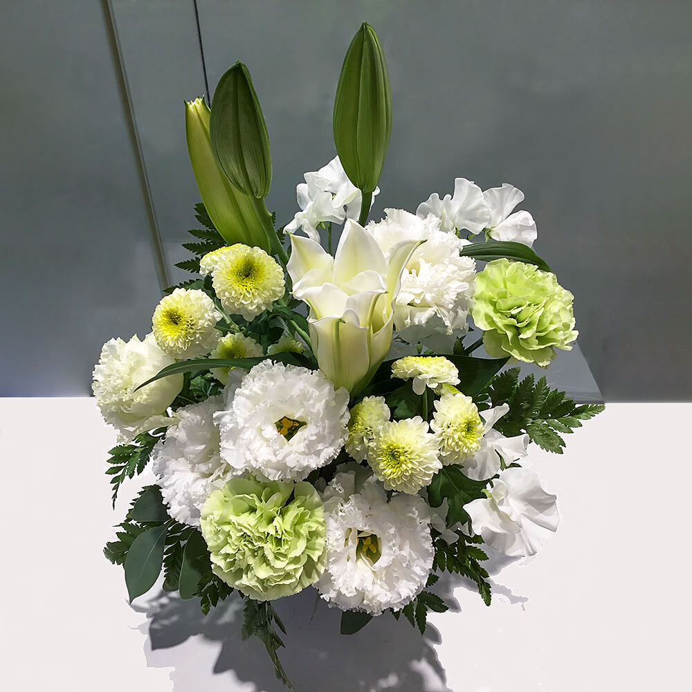 ���ꥢ�륢��󥸥��ȡ�M�ˡڤ������ѡ�