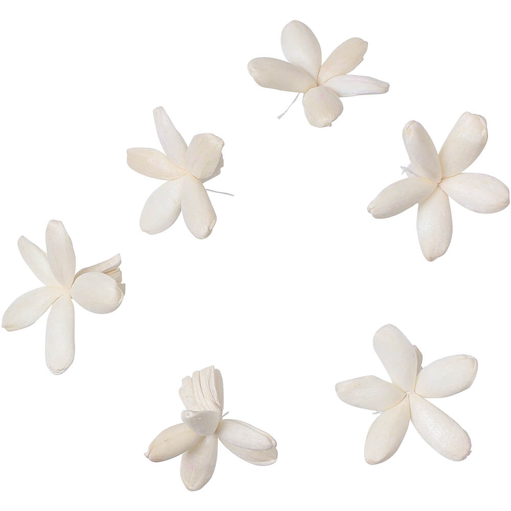 ѡĥХ ९6PMCY-0559ڥɥ饤ե