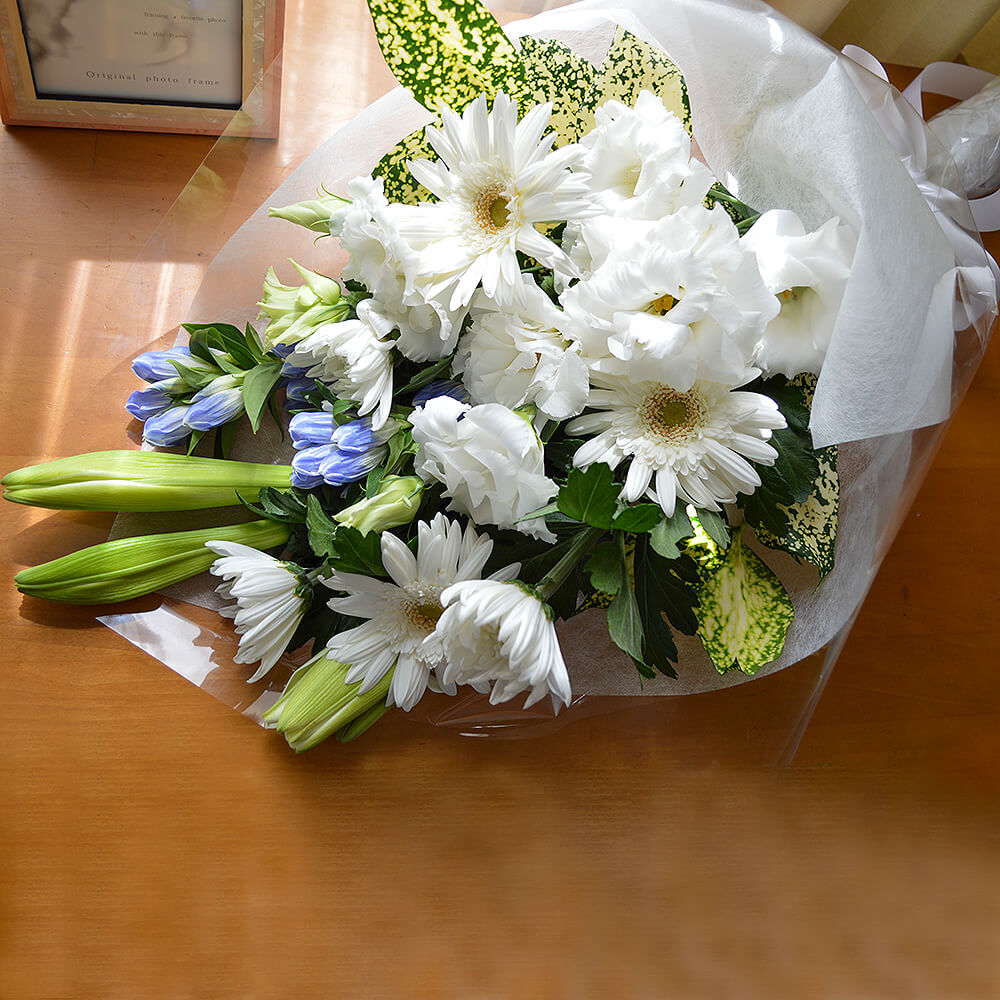 ���ꥢ��֡�����M�ˡڤ������ѡ�