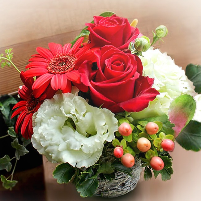 ���顼����󥸥��ȡ�Reddish�����֡�