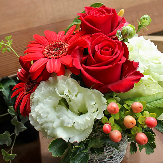 ���顼����󥸥��ȡ�Reddish�����֡�