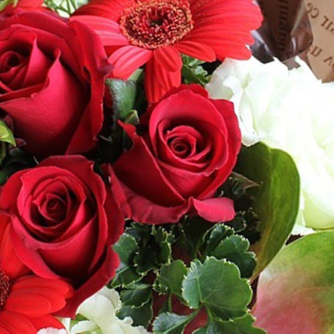 ���顼����󥸥��ȡ�Reddish�����֡�