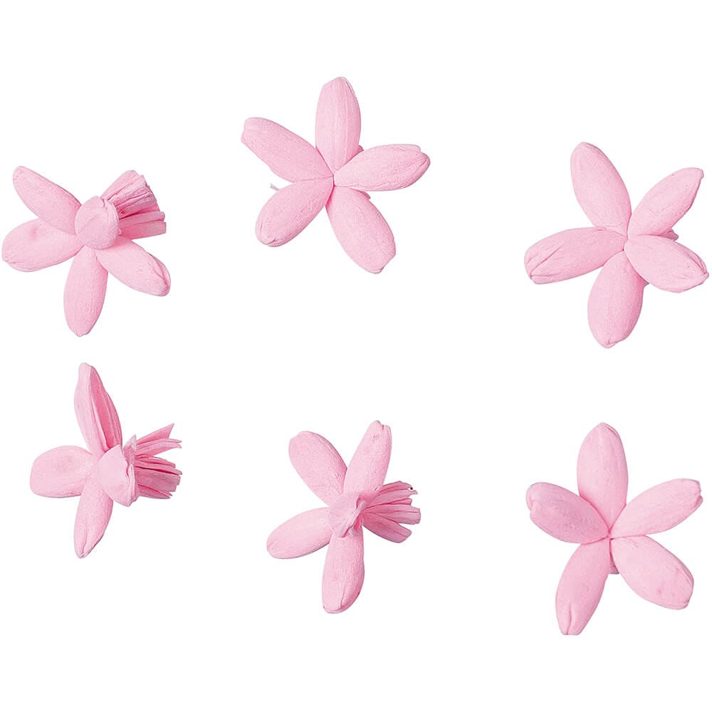 ����ѡ��ĥ��Х� ���6P��MCY-0561�ڥɥ饤�ե���