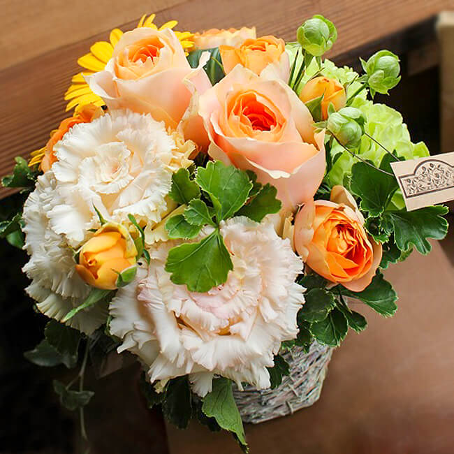 ���顼����󥸥��ȡ�Yellowish�����֡�