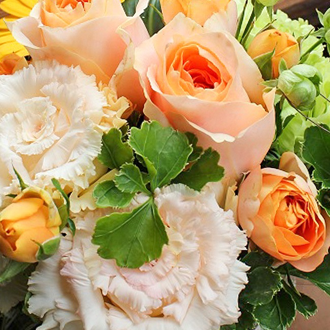 ���顼����󥸥��ȡ�Yellowish�����֡�