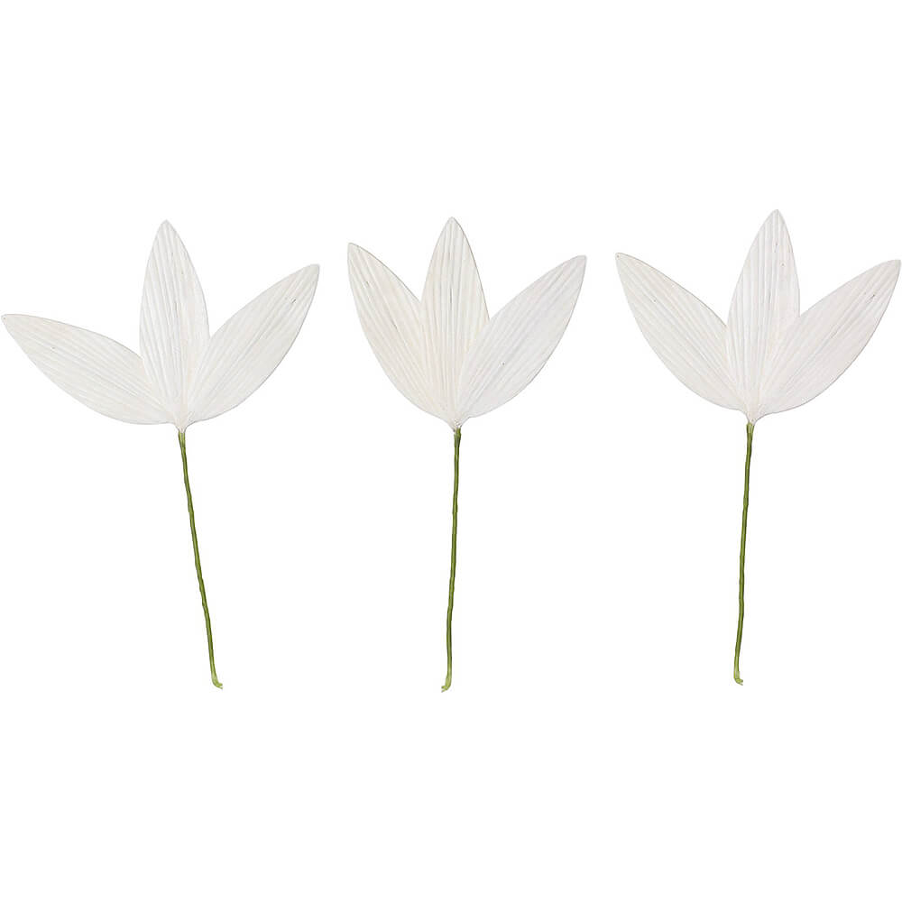 ����ѡ��ĥ����Υ�S �९3P��MCY-0563�ڥɥ饤�ե���