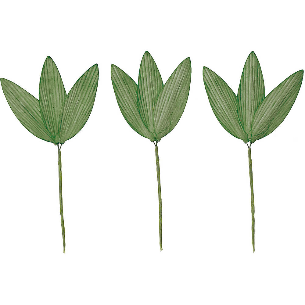 ѡĥΥS ߥɥ3PMCY-0564ڥɥ饤ե