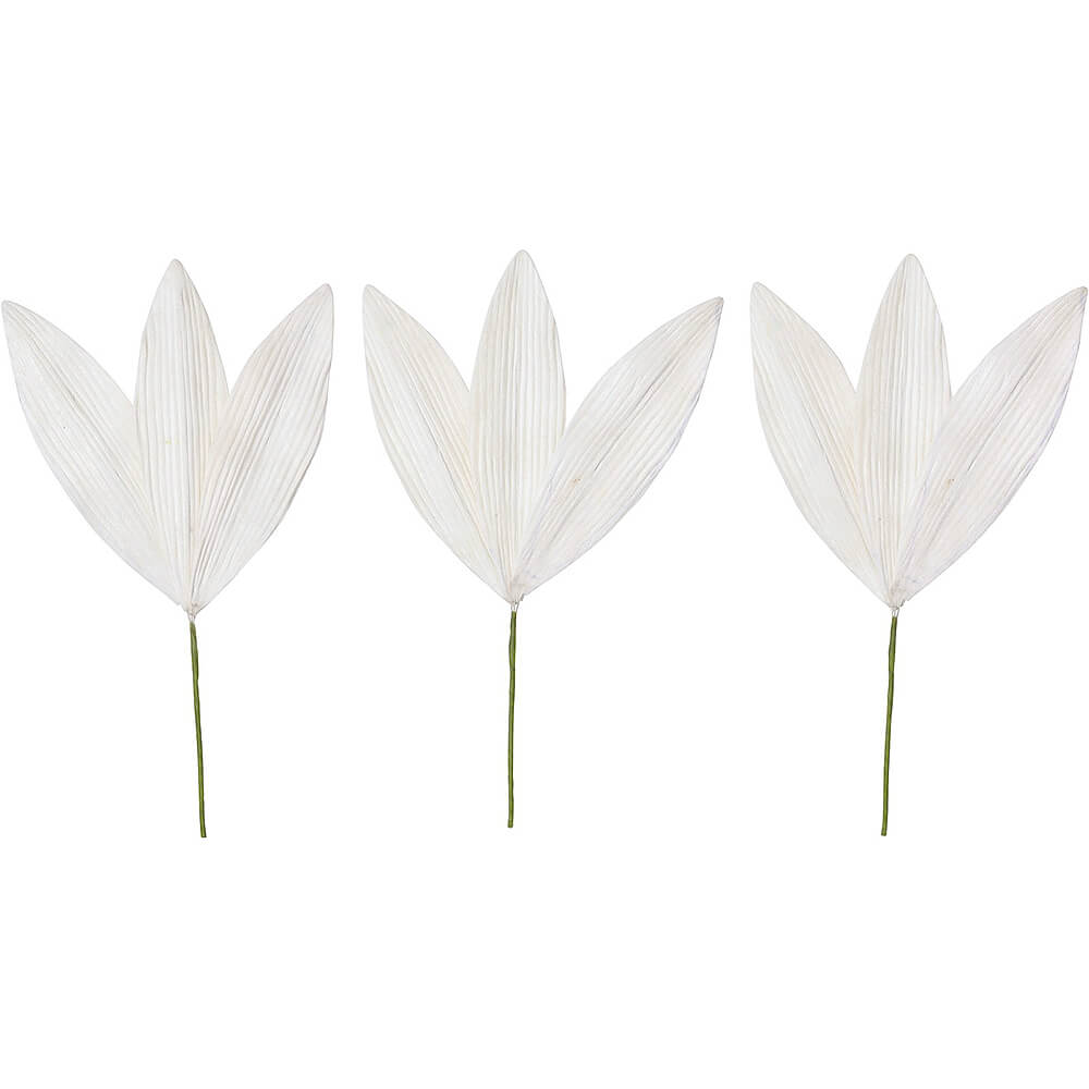 ����ѡ��ĥ����Υ�M �९3P��MCY-0565�ڥɥ饤�ե���