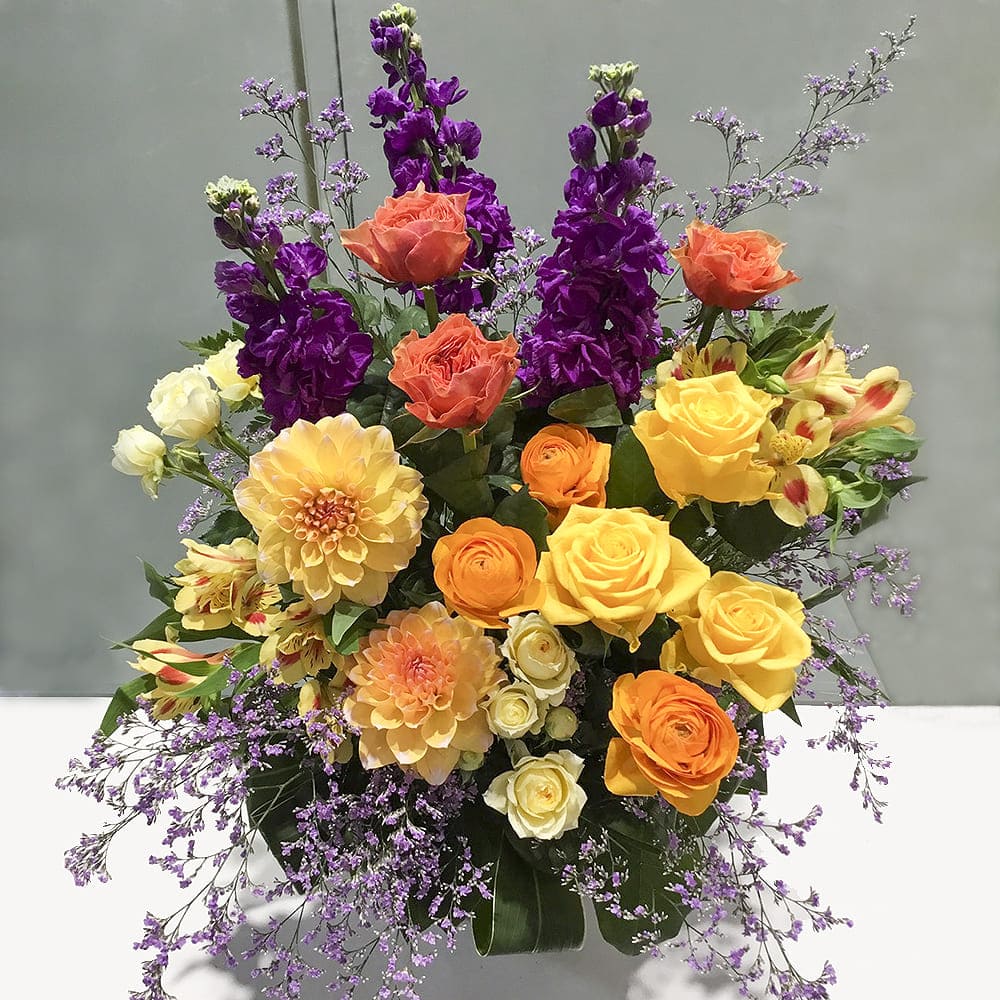 ���顼����󥸥��ȡ�Yellowish�����֡�