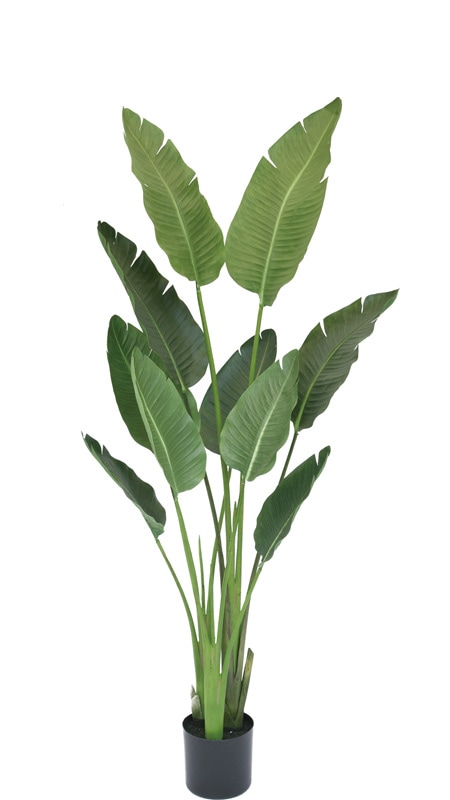 ����������1600�ե��������꡼�� �ڿ͹���ʪ��¤�֡�