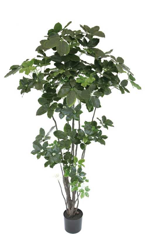 新品】大型 観葉植物 フェイクグリーン カポック シェフレラ フェイク