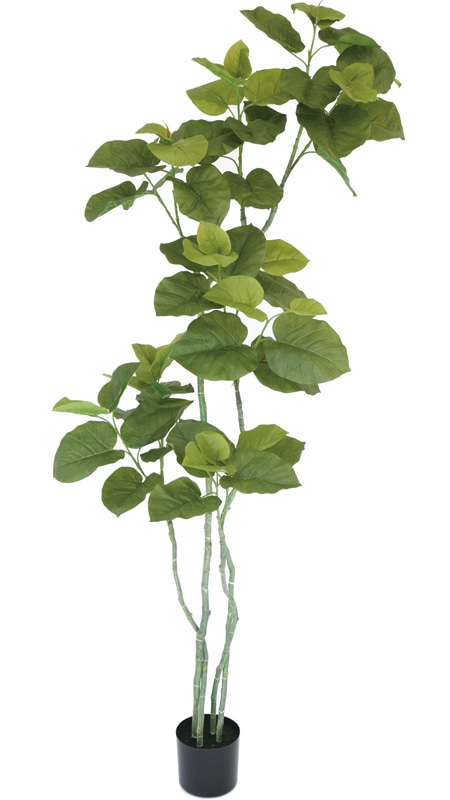 ����٥顼��2100�ե��������꡼��ڿ͹���ʪ��¤�֡�