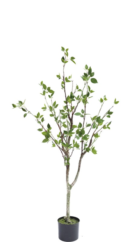 フェイクグリーン シャラの木1200｜フェイクグリーン・人工観葉植物