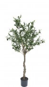 ¡Ú¿Í¹©¿¢Êª¡¦Â¤²Ö¡Û¥Õ¥§¥¤¥¯¥°¥ê¡¼¥ó¡¡¥ª¥ê¡¼¥Ö¤ÎÌÚ1400