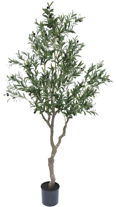 �ڿ͹���ʪ��¤�֡ۥե��������꡼�󡡥��꡼�֤���2100