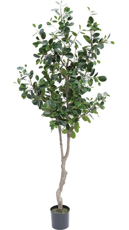 フランスゴム（サンプル） 新フランスゴム1200<br>フェイクグリーン【人工観葉植物】