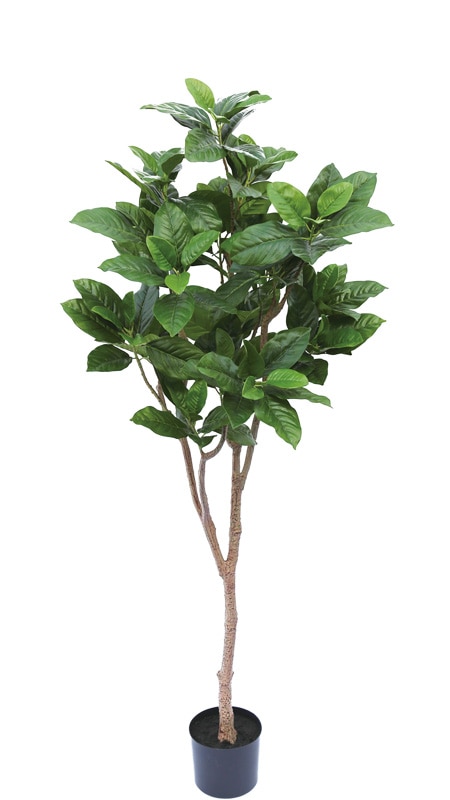 ぽんちゃん「木を植えよう」 ぽんちゃん「木を植えよう」 ぽんちゃん「木を植えよう」 ぽん