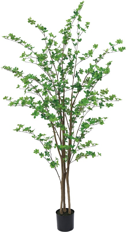 �͹����տ�ʪ���ɥ�����ĥĥ�2300�ڿ͹���ʪ��¤�֡�