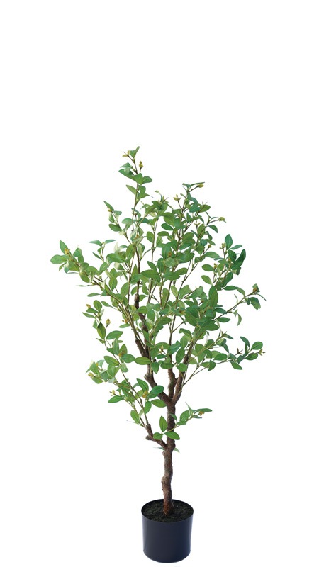 人工観葉植物 フェイクグリーン フィッカスツリー GREEN COFFRET フィッカスツリー170cm 人工観葉植物 フェイクグリーン