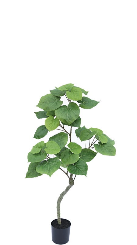 フェイクグリーン ウンベラータ1200｜フェイクグリーン・人工植物 専門