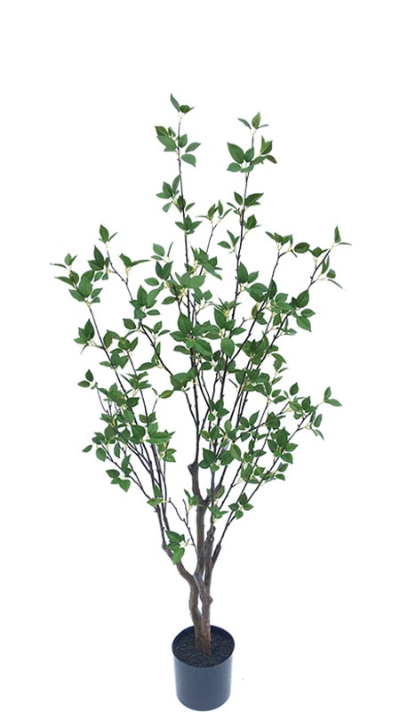 フェイクグリーン シャラ株立ち1500｜フェイクグリーン・人工植物 専門