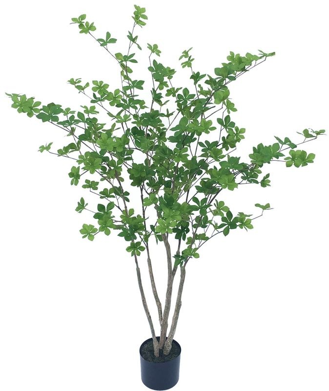 ��ͽ����ʸ20250825�˥ե��������꡼��켰